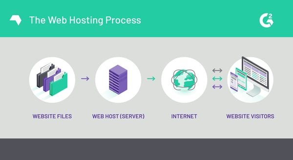 The Web Hosting Process